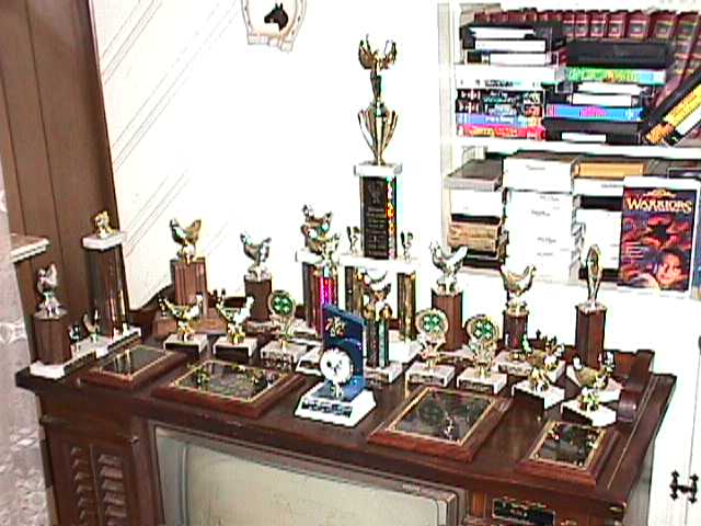 Some of Christopher's Trophies